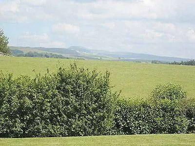 Low Meadow *
